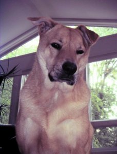 Mel3yrsold.jpg
