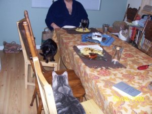animals at table.jpg
