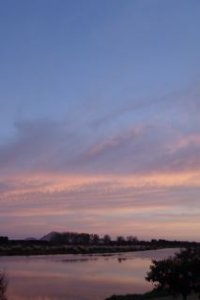 DSC00383.jpg