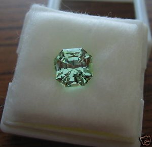 Merelani Mint Garnet4.JPG