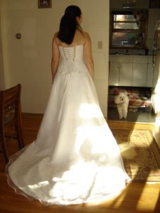 BackViewDressTrainJCJD01.jpg BackViewDressTrainJCJD01.jpg