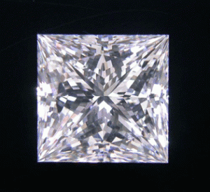 myd5.gif
