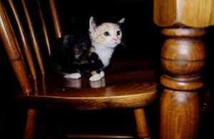 cleo2.jpg