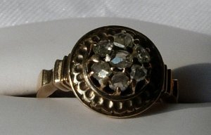 sngp9292.jpg