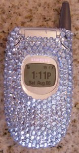 front of bling cell.jpg