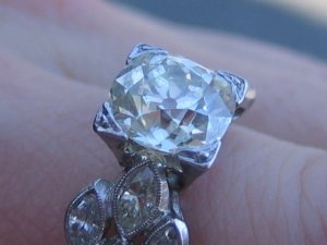 roxy7heirloom4.jpg