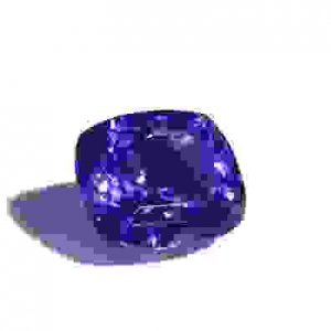 1342cush2.jpg
