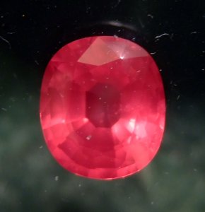 spinel388-2.jpg