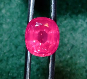 spinel388-6.jpg