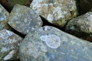 sapphireloversring02.jpg