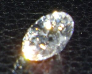 IMGP0704.JPG