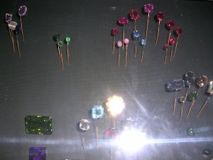 DSCN0229.JPG
