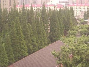China_2.JPG