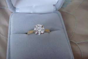 DSC04441rs.JPG