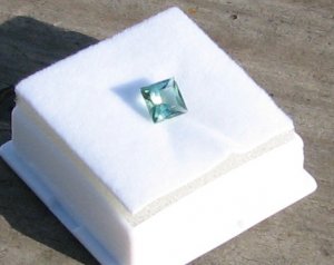 IMG_6595.JPG