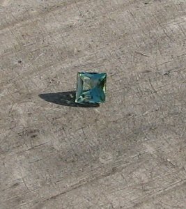 IMG_6598.JPG