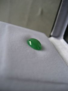 choyoyoIMG_0811.jpg