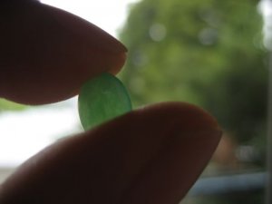 choyoyoIMG_0814.jpg