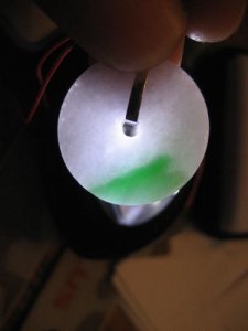 choyoyoIMG_0884.jpg