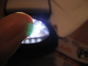 choyoyoIMG_0886.jpg