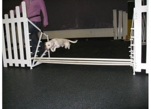 coopjumppic12.jpg