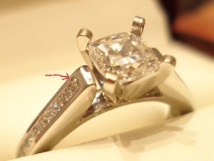 DSC04773-b.jpg