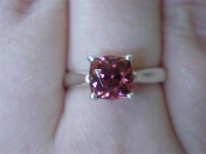 DSC04313 (Small).JPG