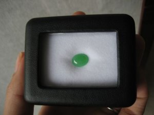 choyoyoIMG_0807.jpg