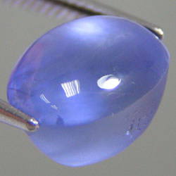 ssa0004f.jpg