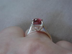 DSC04311 (Small).JPG