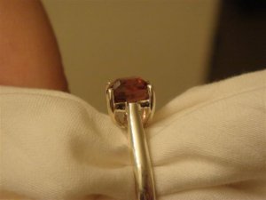 DSC04350 (Small).JPG