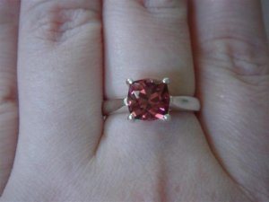 DSC04309 (Small).JPG