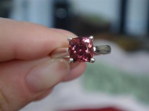 DSC04334 (Small).JPG