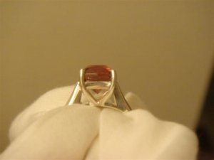 DSC04351 (Small).JPG