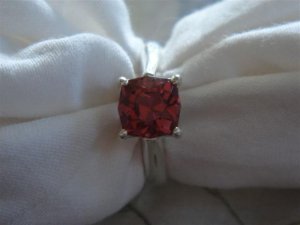 DSC04382 (Small).JPG