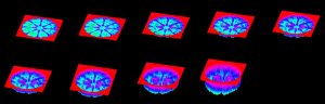 3D9977104Eyeof-the-storm2.jpg