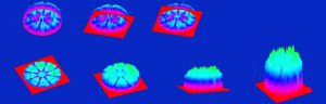 3D9977104Eyeof-the-storm3.jpg