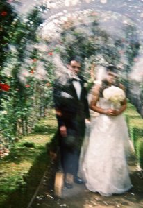 gtfunkyphoto1.jpg