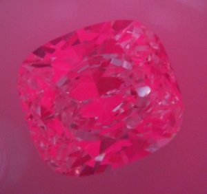 35 cush jgny 4.jpg