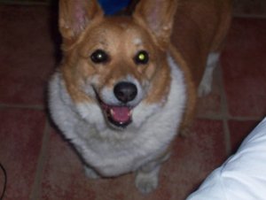 000_0282 sized.jpg