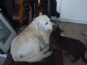 morekisses1.JPG