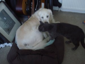 mmkisses.JPG