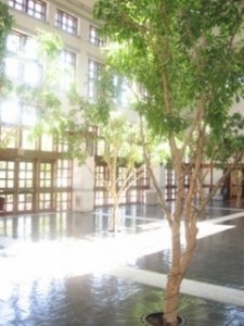 atrium3hdjfg.jpg