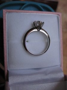 Nickis Ring 040.JPG