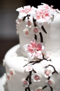 gtcake.jpg