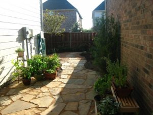 HouseBackyard2.jpg