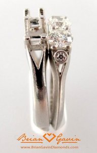 BrianGavin-Shank-Compare2.jpg