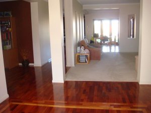 HousePics 003.jpg