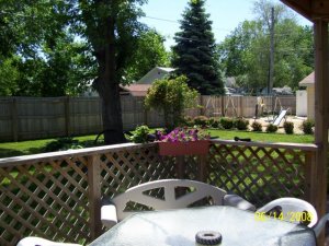 1100_0551.jpg