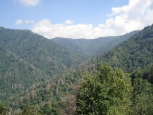 Smokiesjmt5.JPG
